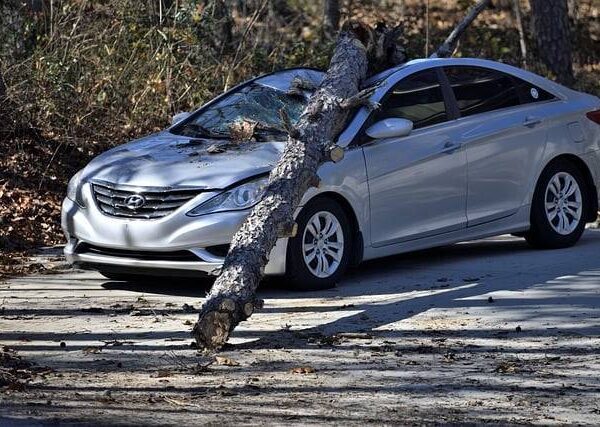 Assurance Voiture Trouver Comment Ruiner